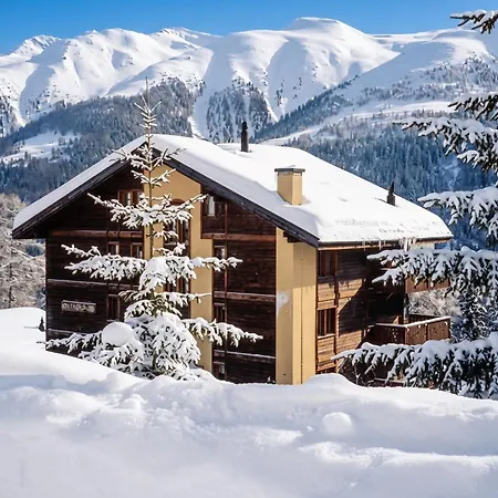 Cosy In - 68 M² - Mountain View