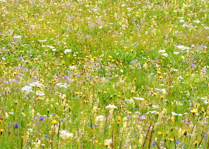 Cosy In - 68 M² - Mountain View Lejlighed Bellwald